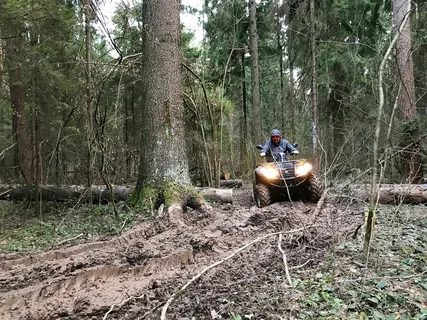 Экстремальный маршрут на квадроцикле по грязи